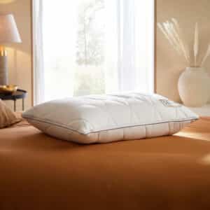 Sealy Hybrid 2 in 1 Pillow