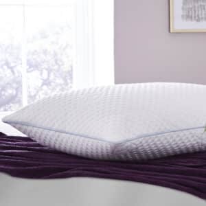 Sealy Sanctuary Pillow