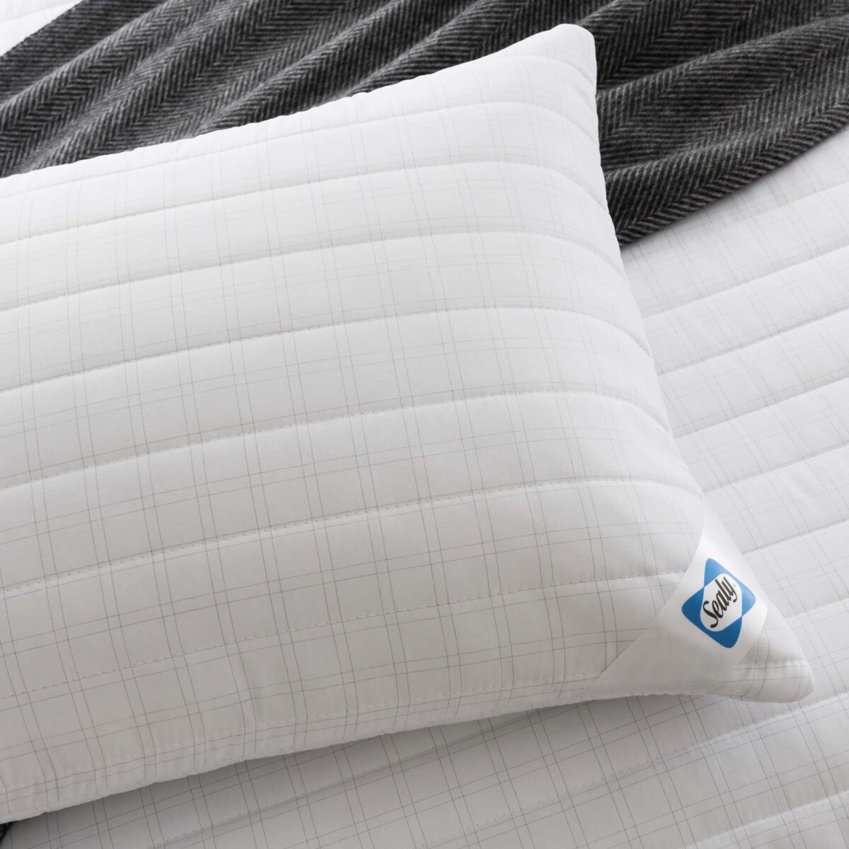 Sealy Select Balance Pillow Protector - 2 Pack