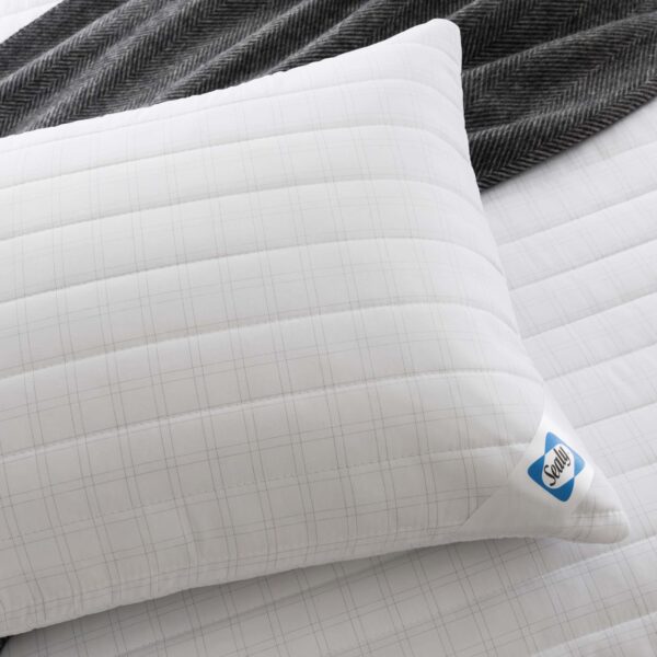 Sealy Select Balance Pillow Protector - 2 Pack