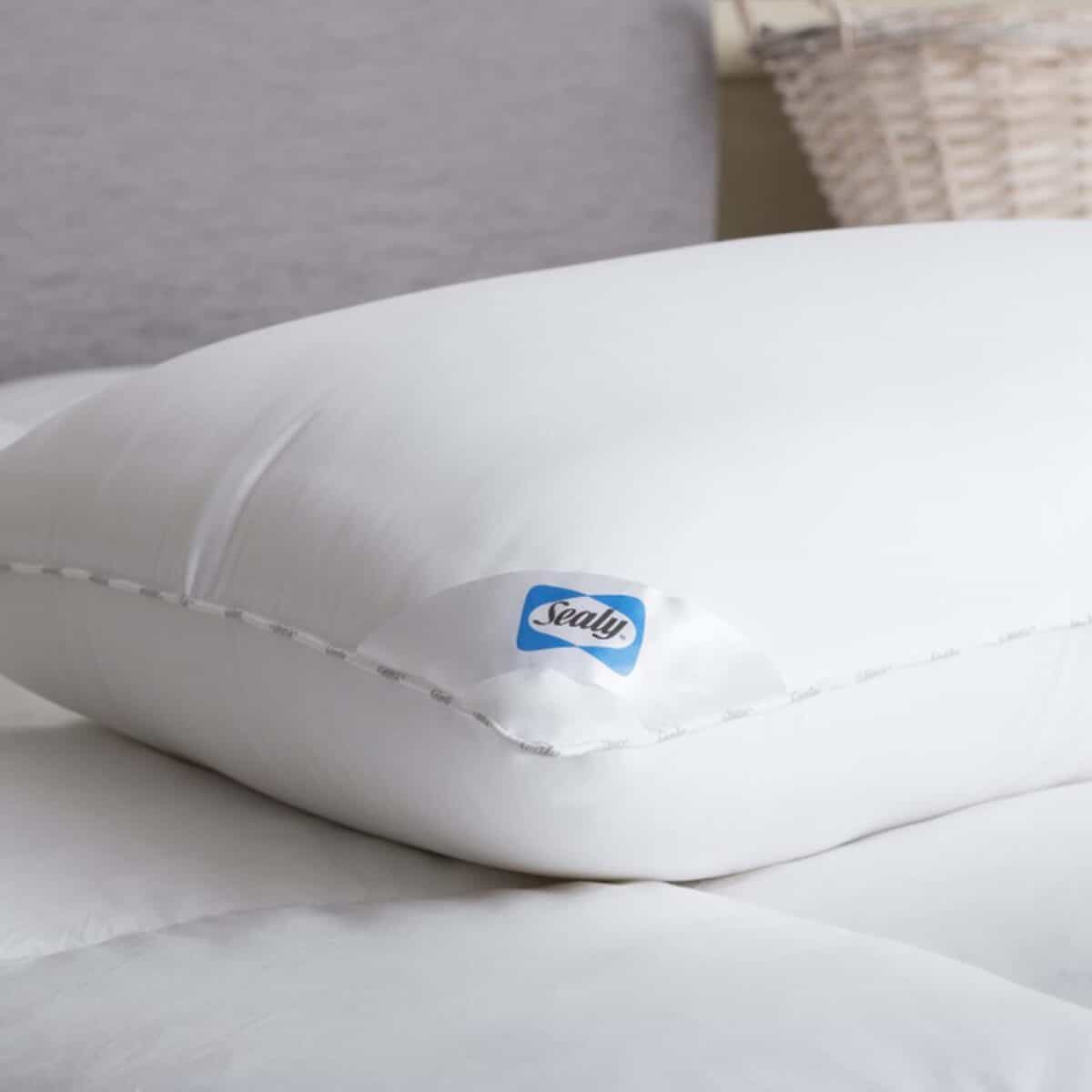 Sealy Select Response Pillow