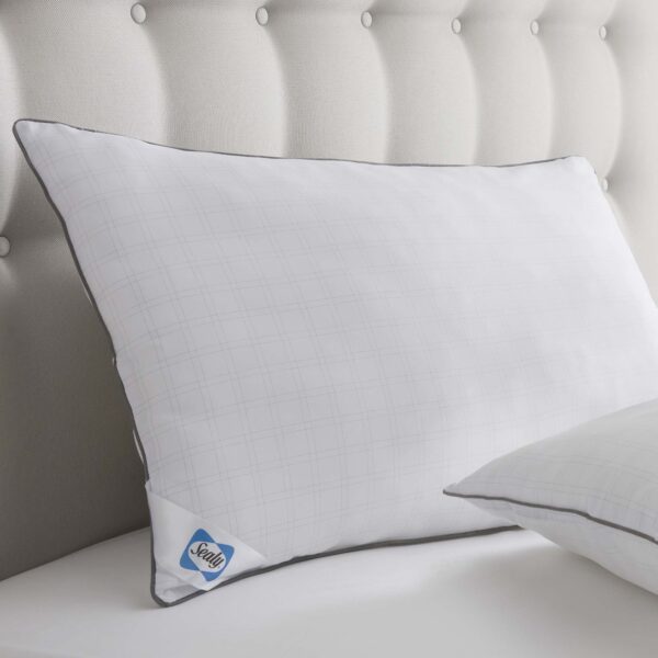 Sealy Select Balance Pillow